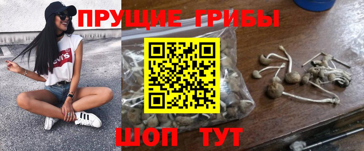 Псилоцибиновые грибы прущие грибы Черняховск