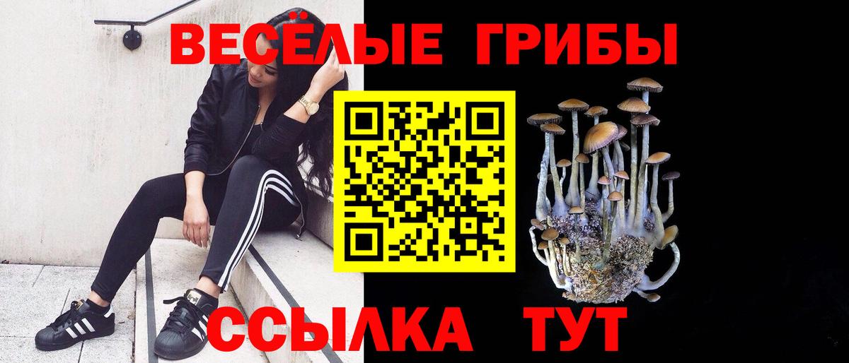 Псилоцибиновые грибы мухоморы  Вход с VPN  Черняховск 
