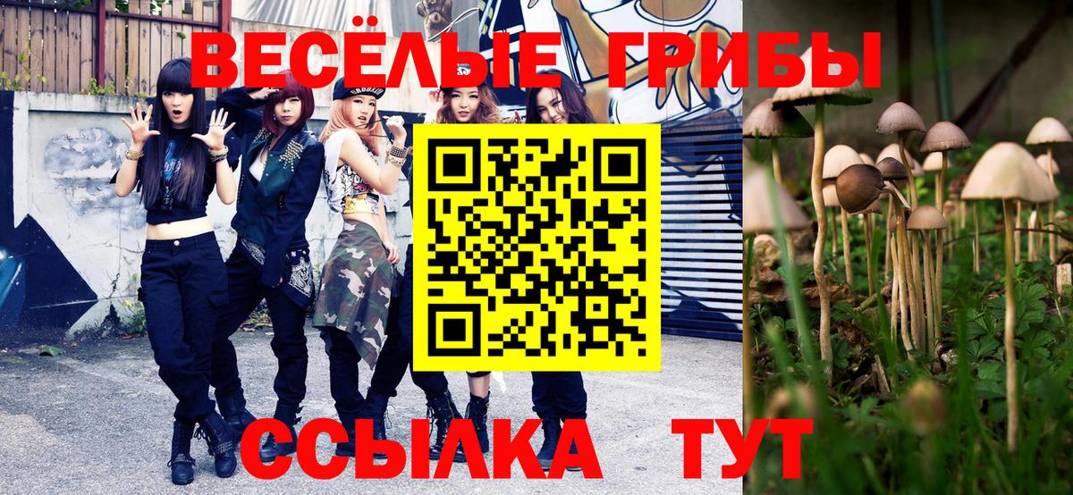  COCAIN Черняховск